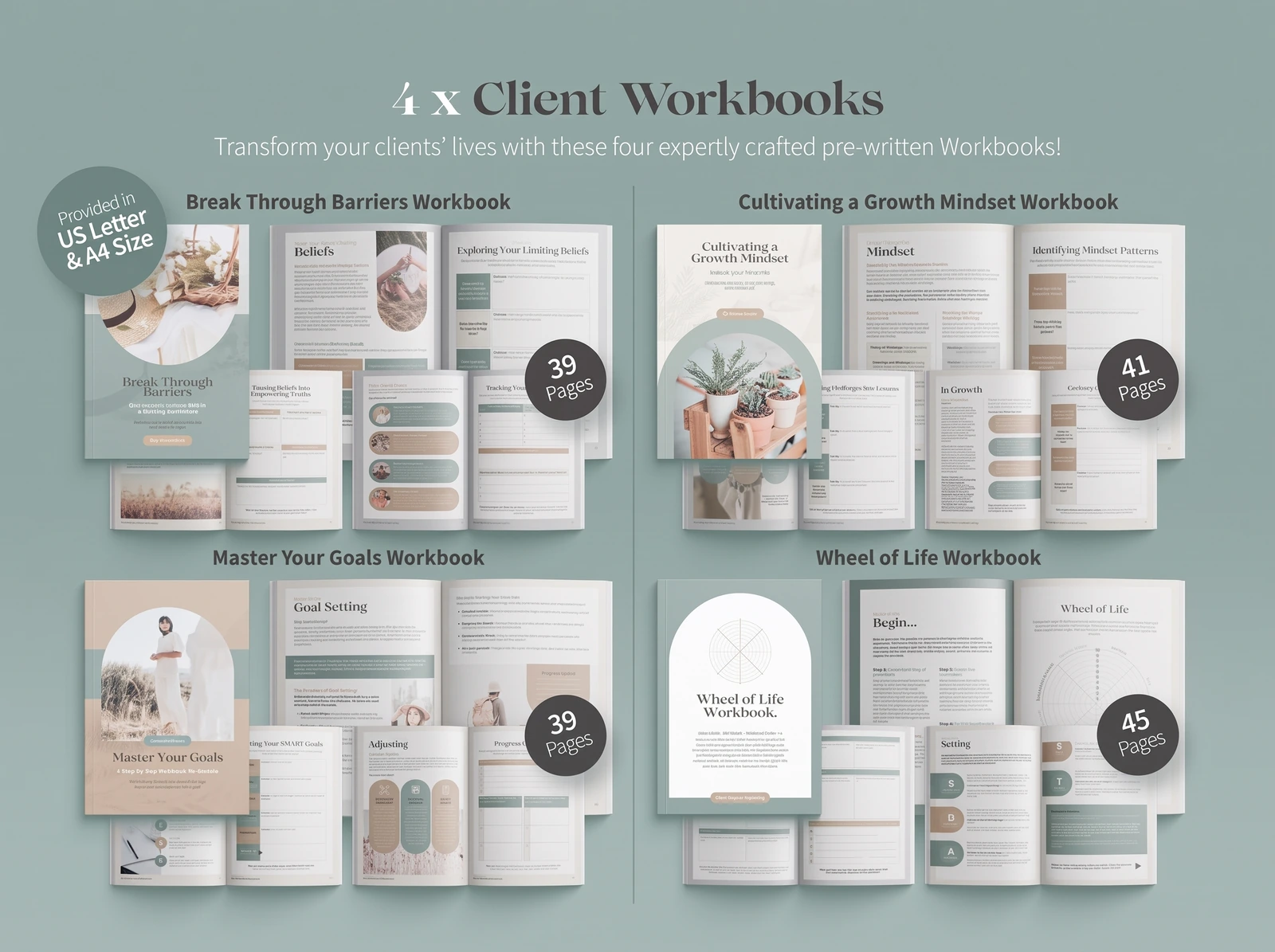 Four client workbooks in the kit: Break Through Barriers, Growth Mindset, Master Your Goals and Wheel of Life